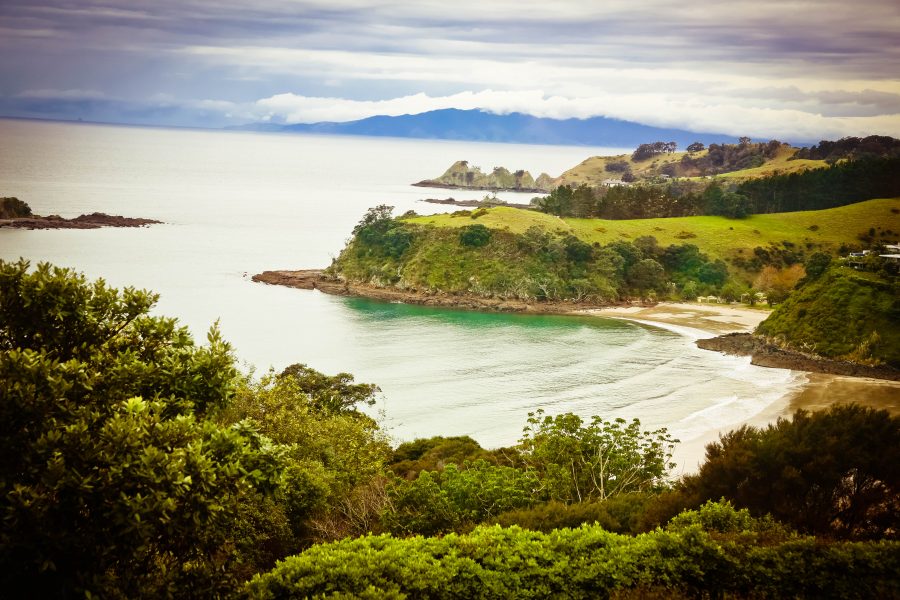 7 Things to Do in Auckland, New Zealand | Nicole the Nomad