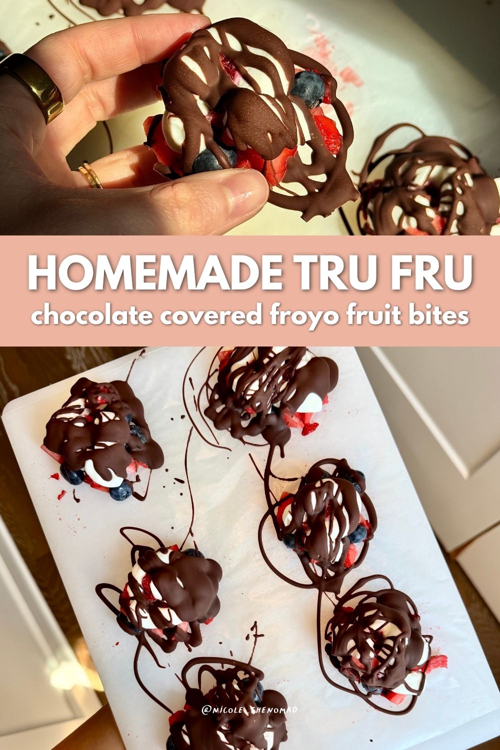 chocolate covered froyo fruit bites