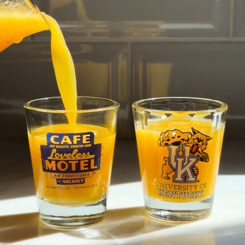 homemade immunity shots