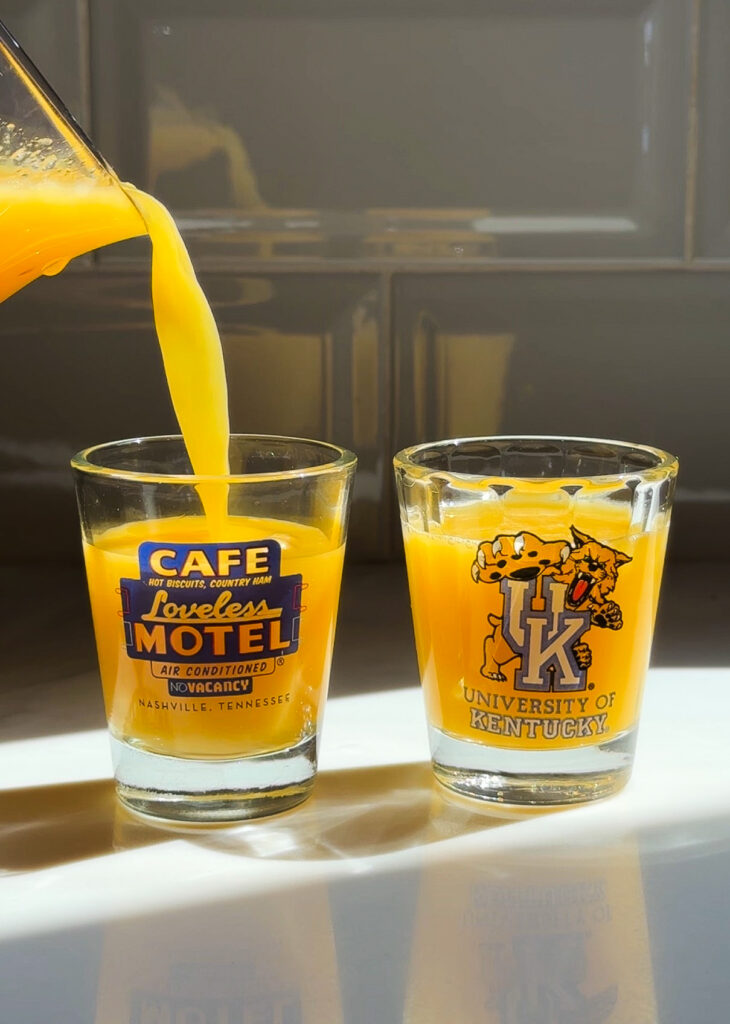 homemade immunity shots